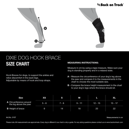 Dixie Hock Brace