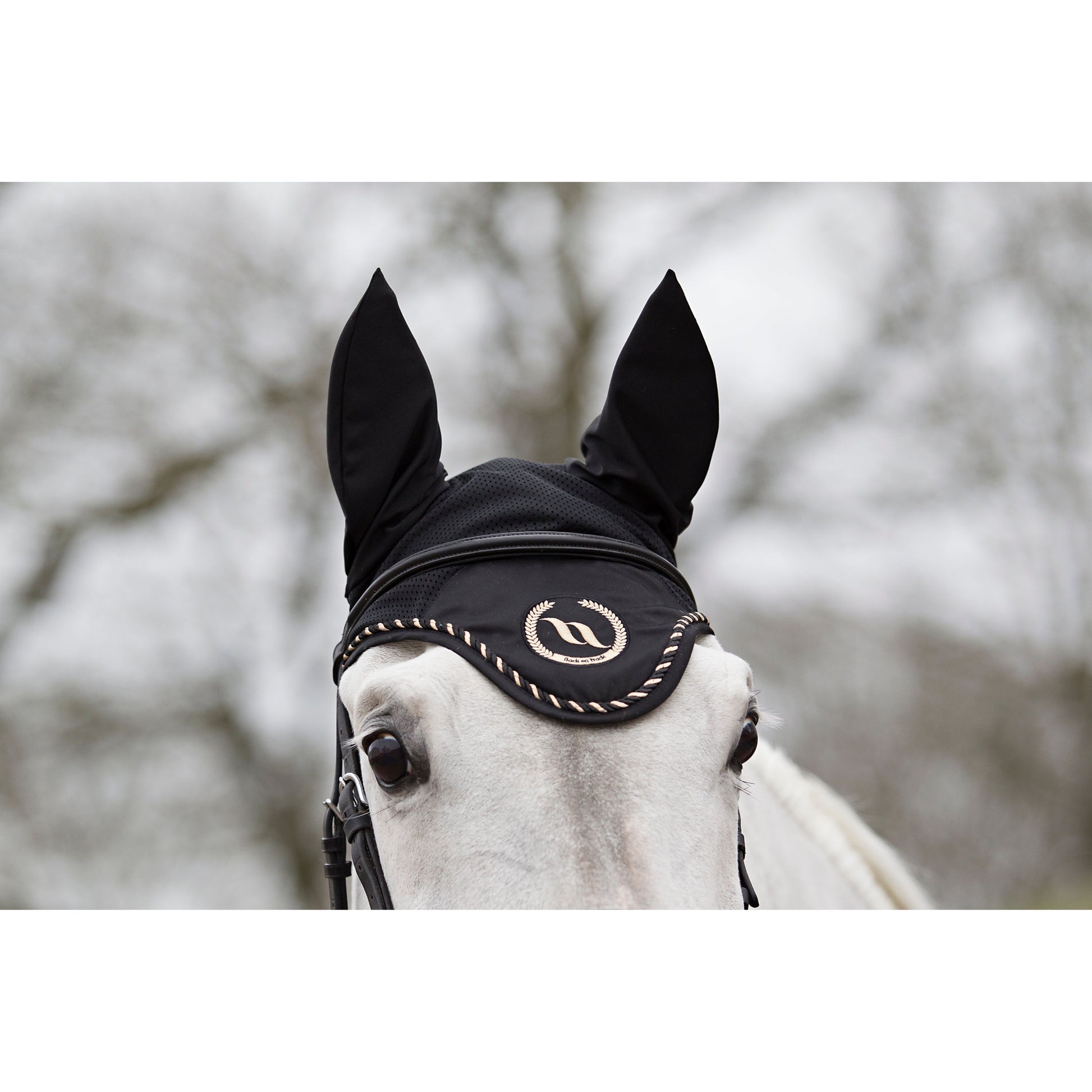 black taye bonnet with gold and gold edge detail and BOT logo, on a grey horse