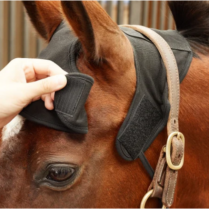 horse wearing poll cap, showing velcro attachments