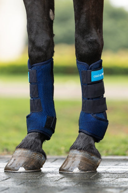 horse wearing a pair of cool on track wraps, front legs
