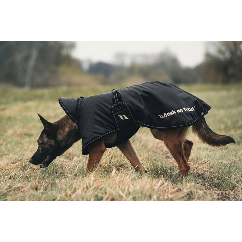 black dog coat with low tail set, covers rear, worn by a shepherd