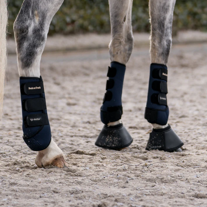 black opal boots being worn by grey horse