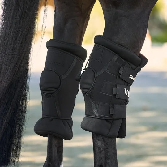 Horse wearing deluxe hock boots on both legs - rear view