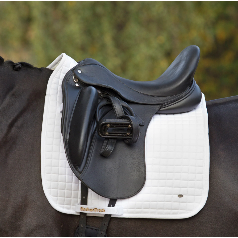 white dressage saddle pad with gold BOT and metal logo tag under saddle on a black horse